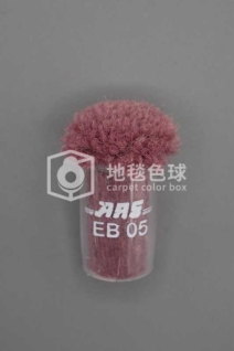 ARS EB05