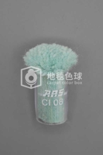 ARS CI08