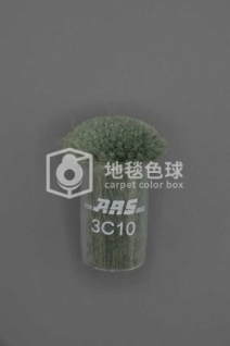 ARS 3C10