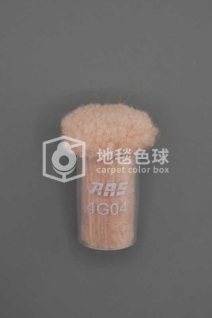 ARS 4G04