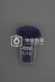 ARS 2J18