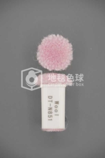 DT N851