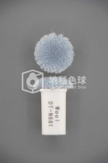 DT N681