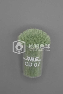 ARS CD07