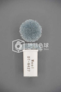 DT N427