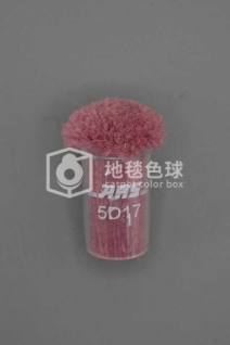 ARS 5D17