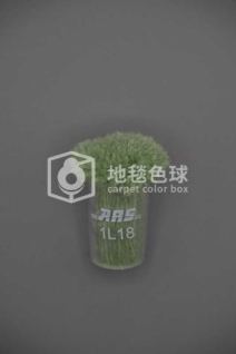 ARS 1L18