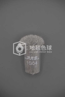 ARS 1G04