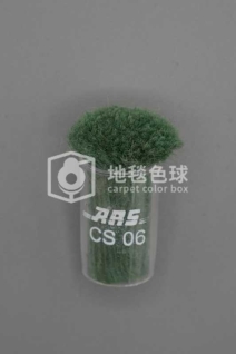 ARS CS06