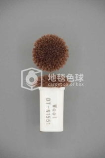 DT N1551