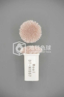 DT N1557