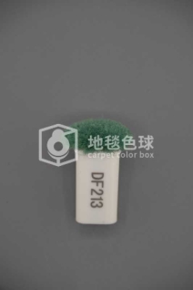 DF213