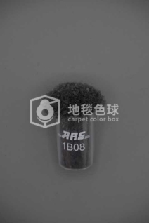 ARS 1B08