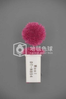 DT N854