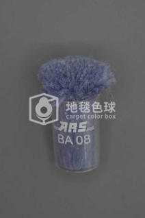 ARS BA08