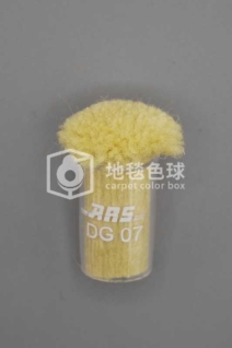 ARS DG07