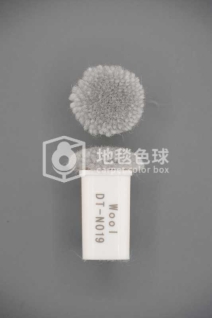 DT N019