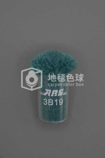 ARS 3B19