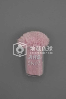 ARS 5N07