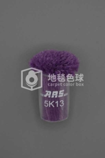 ARS 5K13