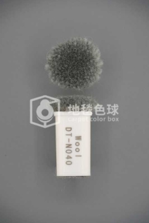 DT N040