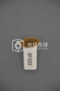 DF022