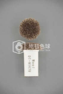 DT N1479