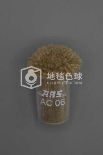 ARS AC06