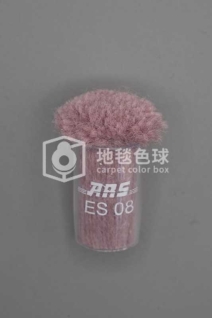 ARS ES08