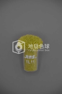 ARS 1L11