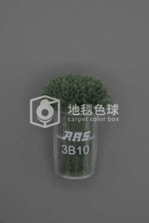 ARS 3B10