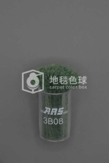 ARS 3B08