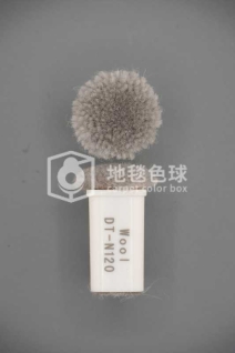 DT N120