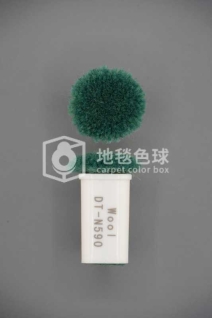 DT N590