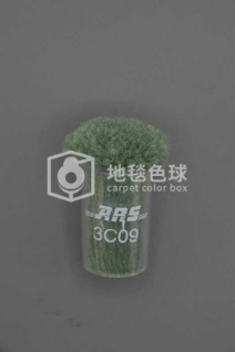 ARS 3C09
