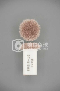 DT N1508
