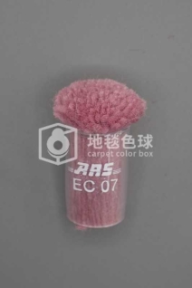 ARS EC07