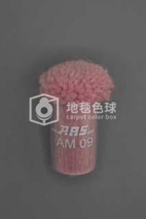 ARS AM09