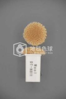 DT N811