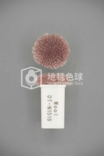 DT N1519