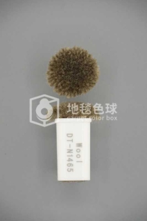 DT N1465