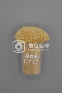 ARS DT07