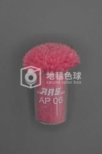 ARS AP06