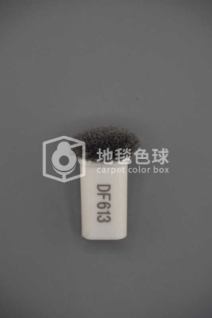 DF613