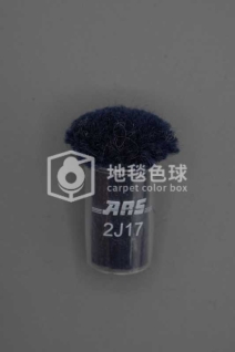 ARS 2J17