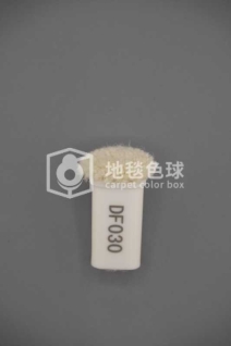 DF030