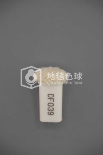 DF039
