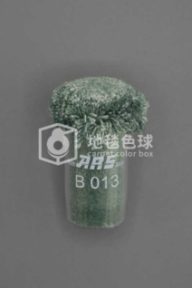 ARS B013