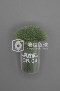 ARS CR04