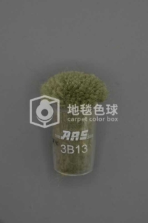 ARS 3B13